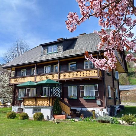 Appartement Steiner Шладминг Экстерьер фото